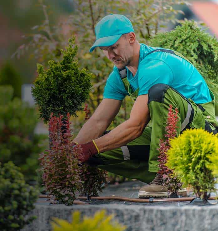 Hovenier Infra gezocht | Groen en Grondwerk combineren